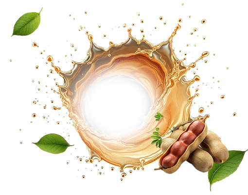 มะขามคอมบูชะ