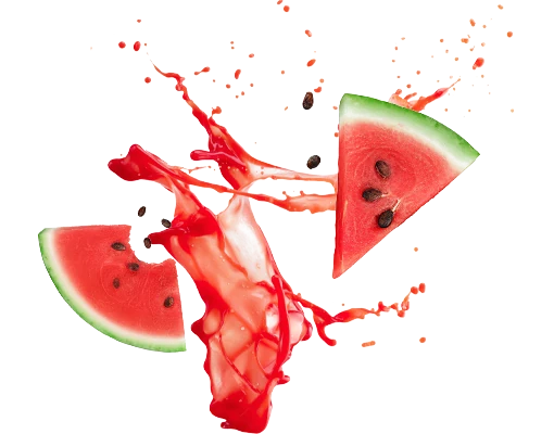 แตงโมพุงทะลาย