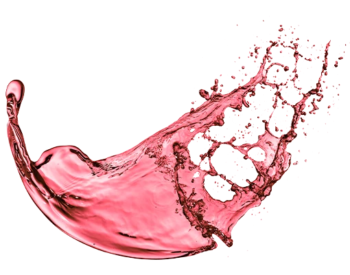 McPlus Activ Pungtalai Series