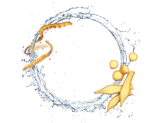 แม็คพลัสแอคทีฟ เอ็ม